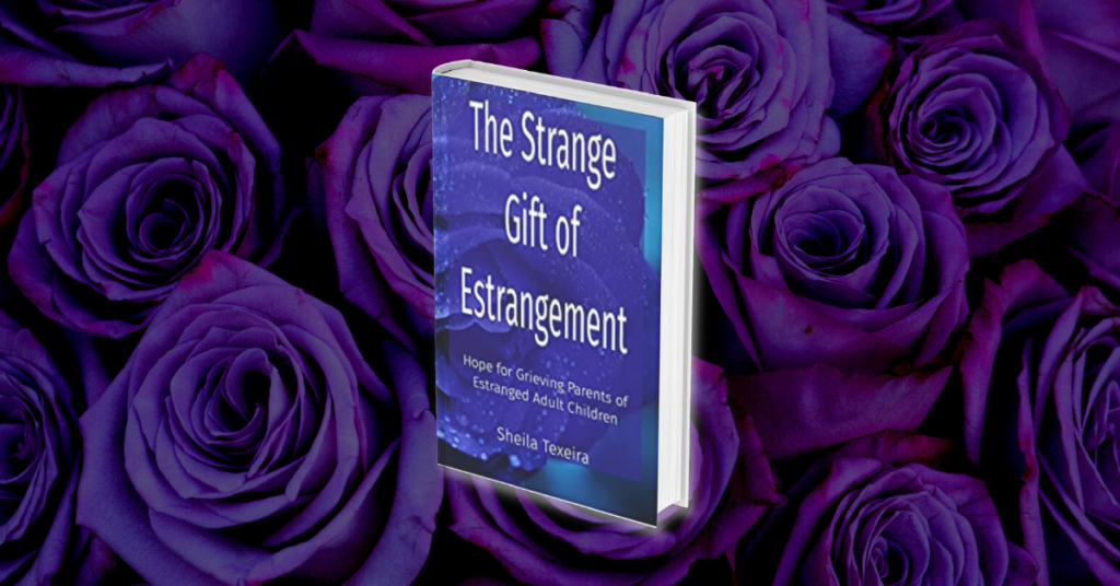 The Strange Gift of Estrangement by Sheila Texeira