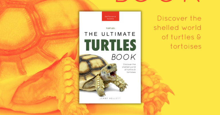 The Ultimate Turtles Book by Jenny Kellett