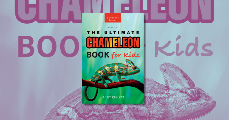 The Ultimate Chameleon Book for Kids by Jenny Kellett