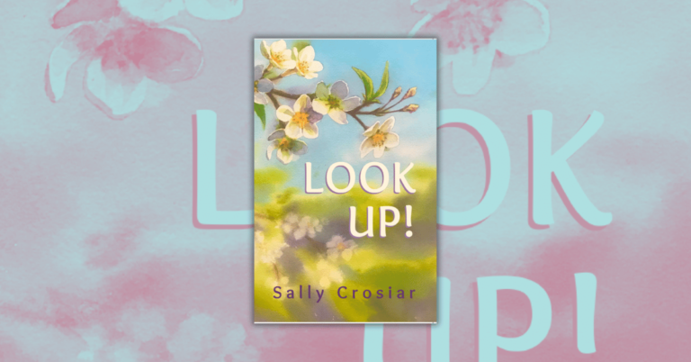 Look Up! by Sally Crosiar