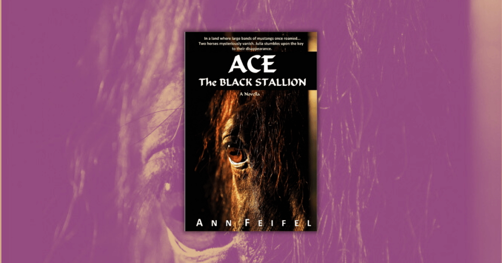 ACE the Black Stallion by Ann Feifel