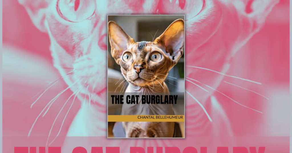 The Cat Burglary by Chantal Bellehumeur