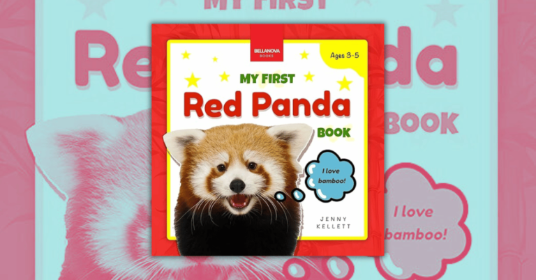 You've Gotta Check Out This Children's Animal Education Book_ 'My First Red Panda Book' Will Blow Your Kid's Mind!