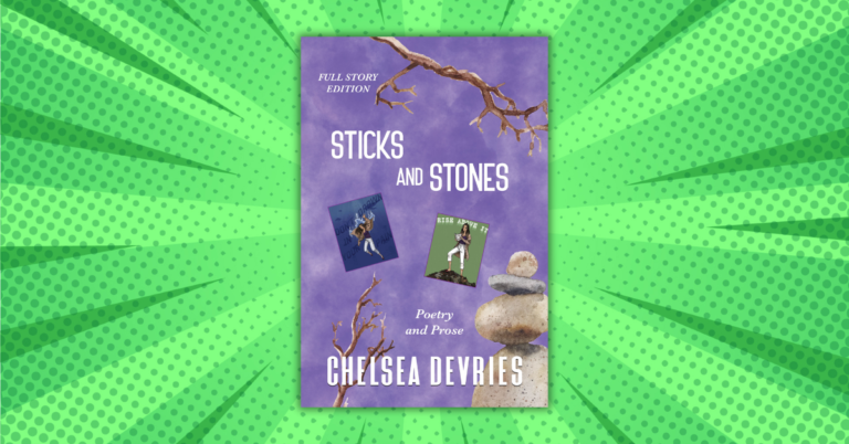 Sticks & Stones by Chelsea DeVries