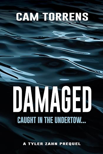 Damaged Hero High-Stakes Thriller